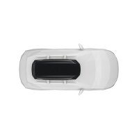 Thule Pulse 2 L